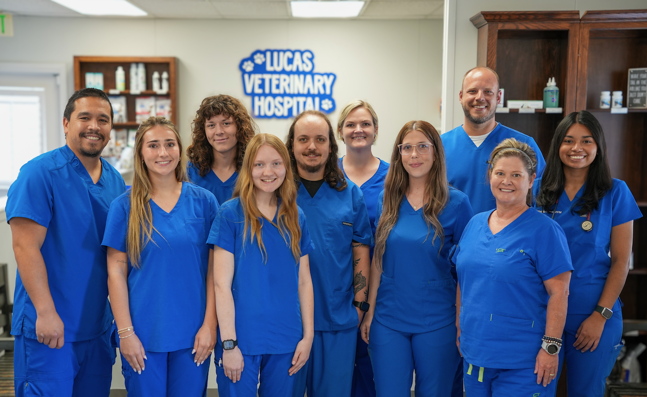 Veterinarian in Lucas, TX